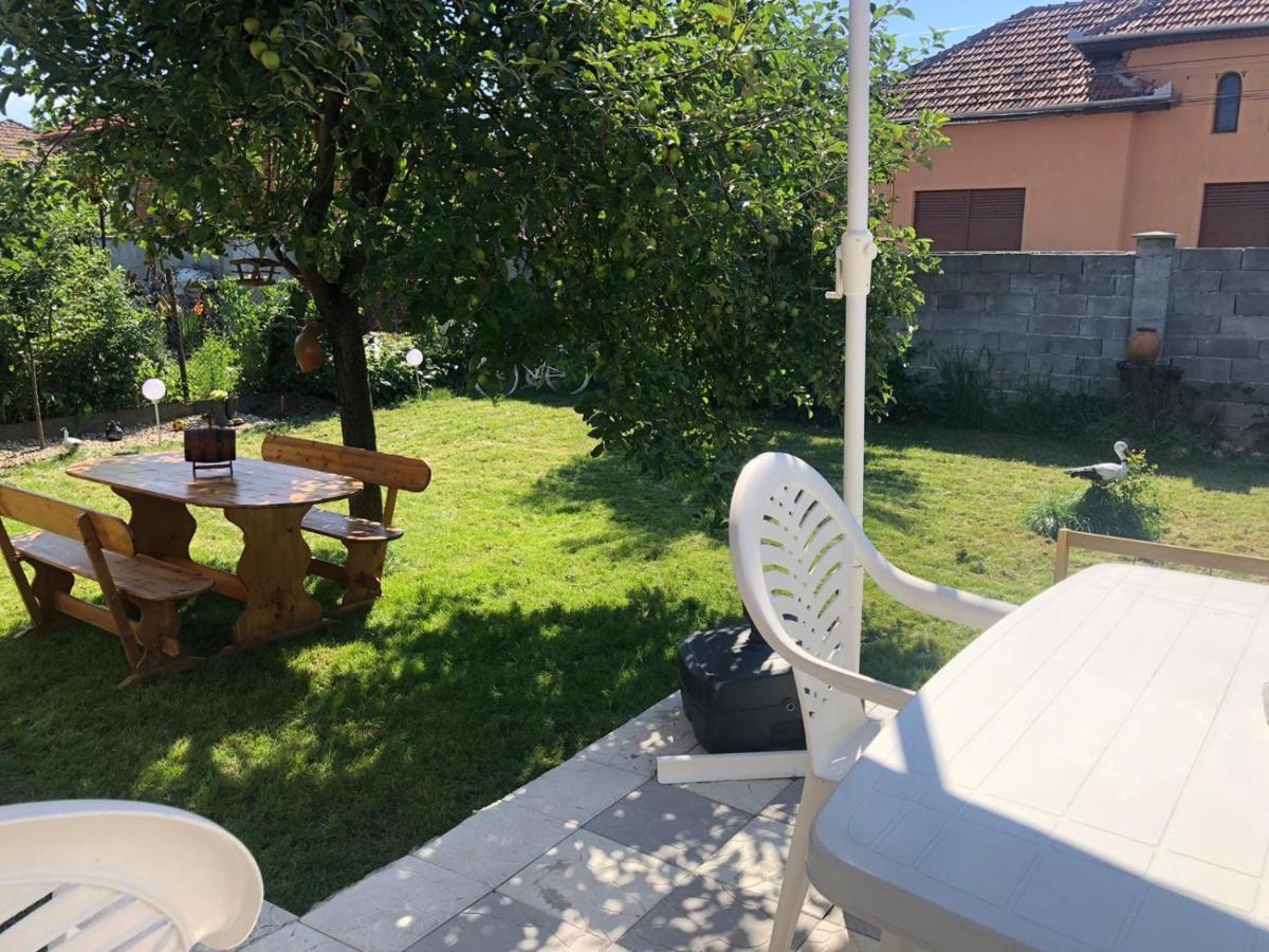 Casa Barza Daire Orăştie Dış mekan fotoğraf